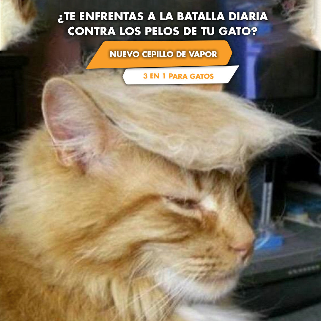 🎁 Cepillo vapor para mascota