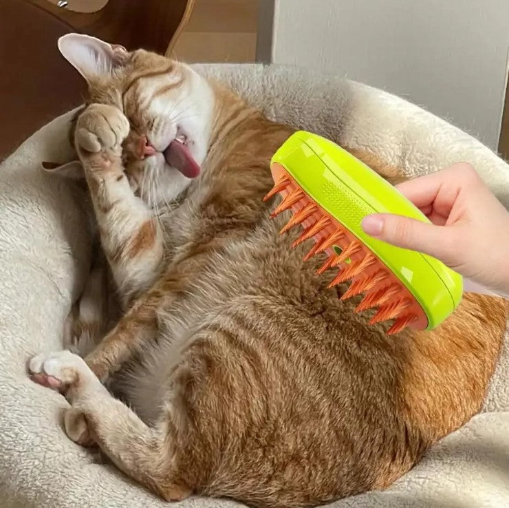 🎁 Cepillo vapor para mascota